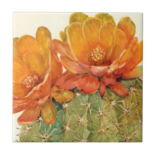 Azulejo De Cerâmica Flores Laranja De Cactus