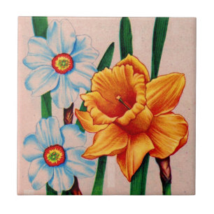 Azulejo De Cerâmica flores narciso