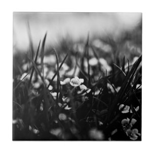 Azulejo De Cerâmica Flores no campo em primavera