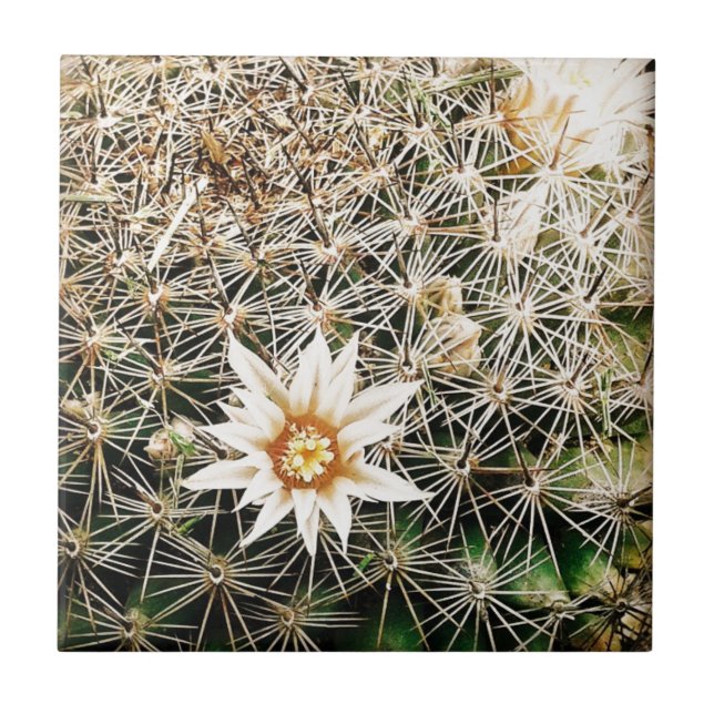 Azulejo De Cerâmica Flores num Cactus (Frente)