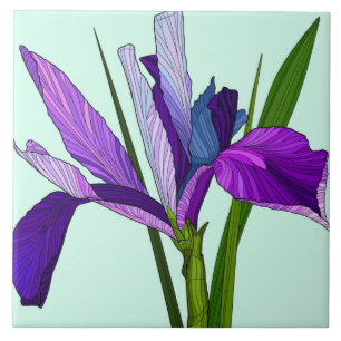 Azulejo De Cerâmica Flores Pintadas, íris púrpura bonito na menta