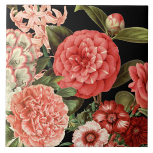 Azulejo De Cerâmica flores rosa-botânica modernas, antigas