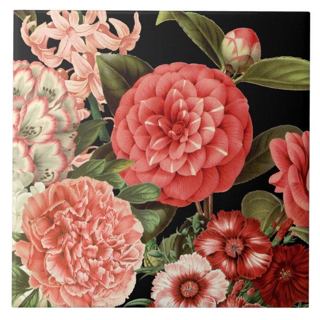 Azulejo De Cerâmica flores rosa-botânica modernas, antigas (Frente)