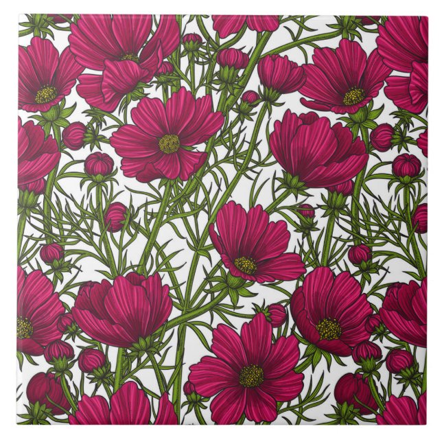 Azulejo De Cerâmica Flores rosa Cosmos (Frente)