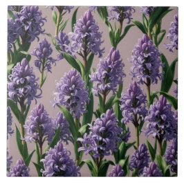 Azulejo De Cerâmica Flores roxas de Hyacinth Holandesas