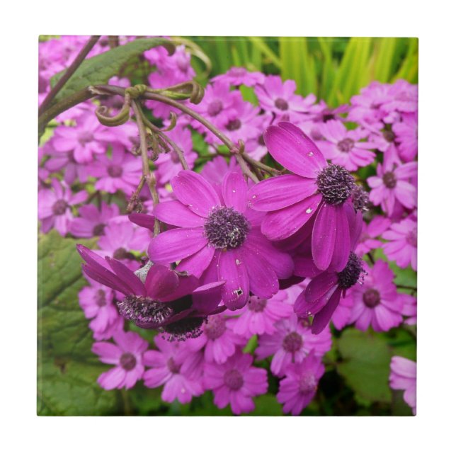 Azulejo De Cerâmica Flores Roxas de São Francisco (Frente)