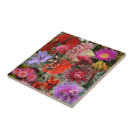 Azulejo De Cerâmica Flores Selvagens Australianas