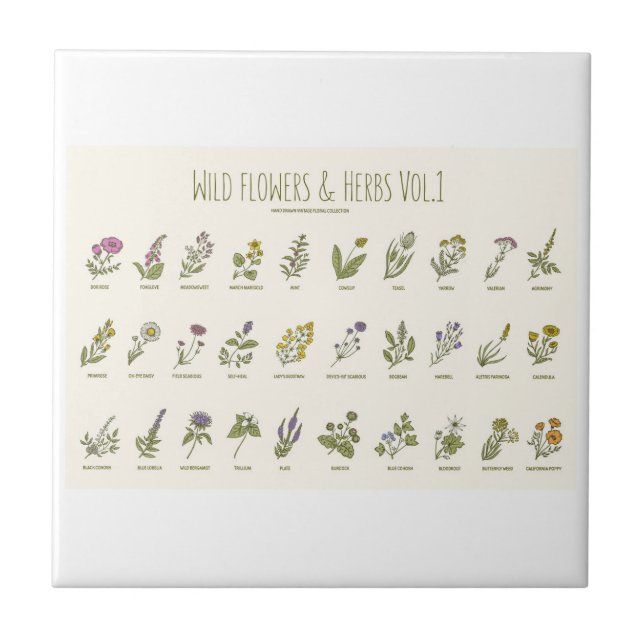 Azulejo De Cerâmica Flores selvagens e plantas aromáticas (Frente)