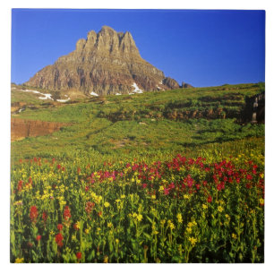 Azulejo De Cerâmica Flores silvestres alpinas em Logan Pass no Glaciar