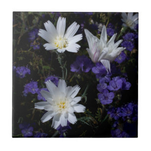Azulejo De Cerâmica Flores Silvestres Chicory e Phacelia