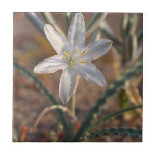 Azulejo De Cerâmica Flores Silvestres de Lírio do Deserto