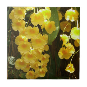 Azulejo De Cerâmica Flores Tropicais das Orquídeas Amarelas