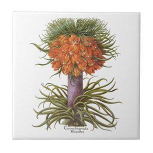Azulejo De Cerâmica Flores Vintage de Fritillaria Laranja Basilius Bes