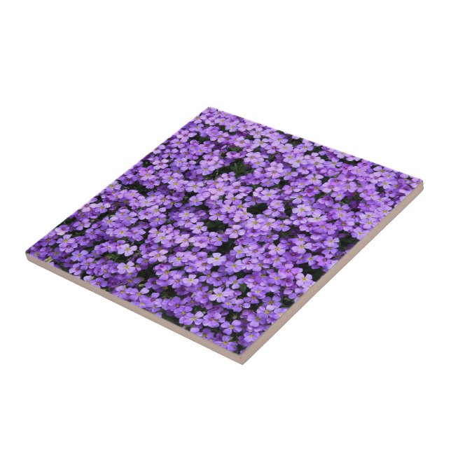 Azulejo De Cerâmica Flores - Violetas - Bonita (Lateral)