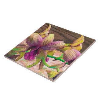 Azulejo De Cerâmica Florescência das orquídeas