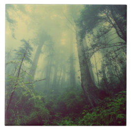 Azulejo De Cerâmica Floresta De Baixo