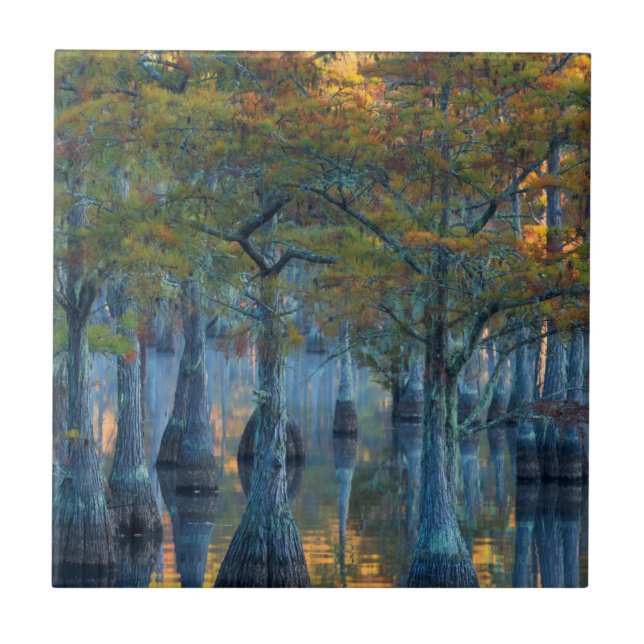 Azulejo De Cerâmica Floresta de Ciprestes (Frente)