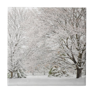 Azulejo De Cerâmica Floresta de inverno de neve