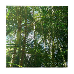 Azulejo De Cerâmica Floresta de Palmeiras Natureza Tropical