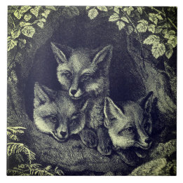 Azulejo De Cerâmica Floresta de raposas de bebês