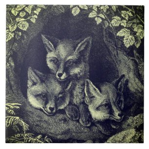 Azulejo De Cerâmica Floresta de raposas de bebês