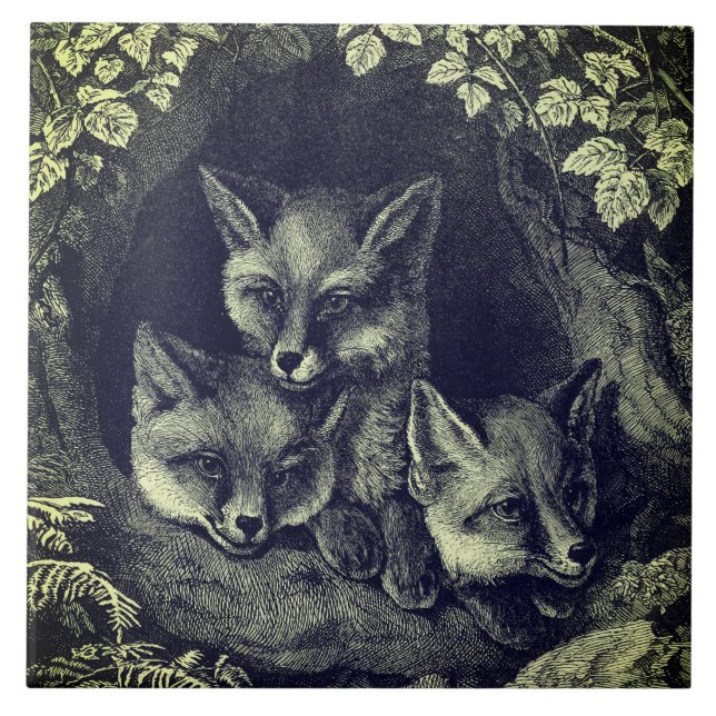 Azulejo De Cerâmica Floresta de raposas de bebês (Frente)