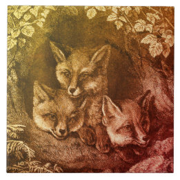 Azulejo De Cerâmica Floresta de raposas de bebês