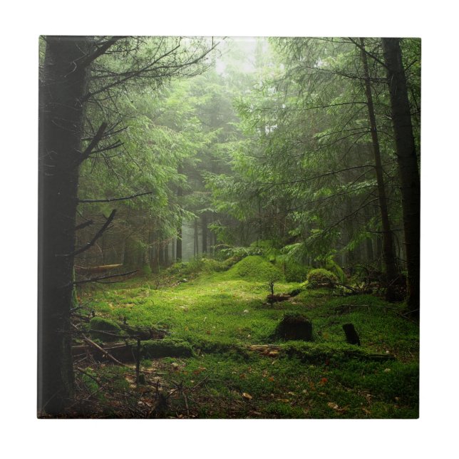 Azulejo De Cerâmica Floresta de Sterious (Frente)