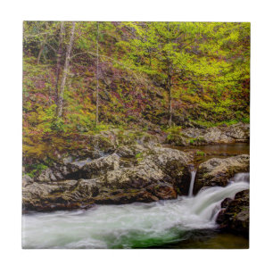 Azulejo De Cerâmica Floresta do riacho nas Grandes Montanhas Fumegante
