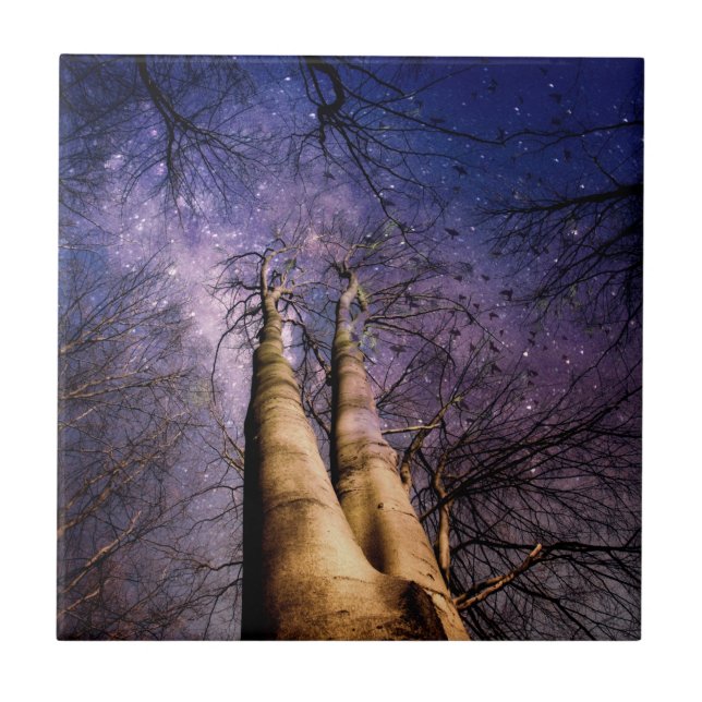 Azulejo De Cerâmica Floresta Encantada (Frente)