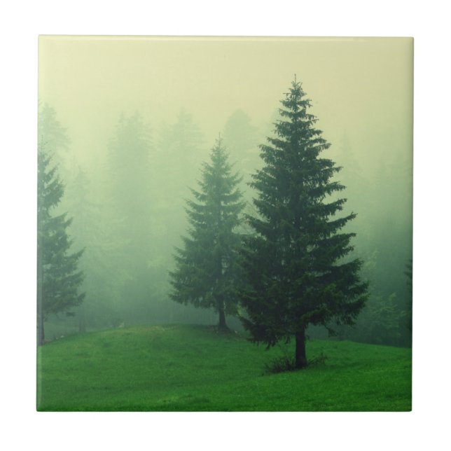 Azulejo De Cerâmica Floresta enevoada do pinho (Frente)