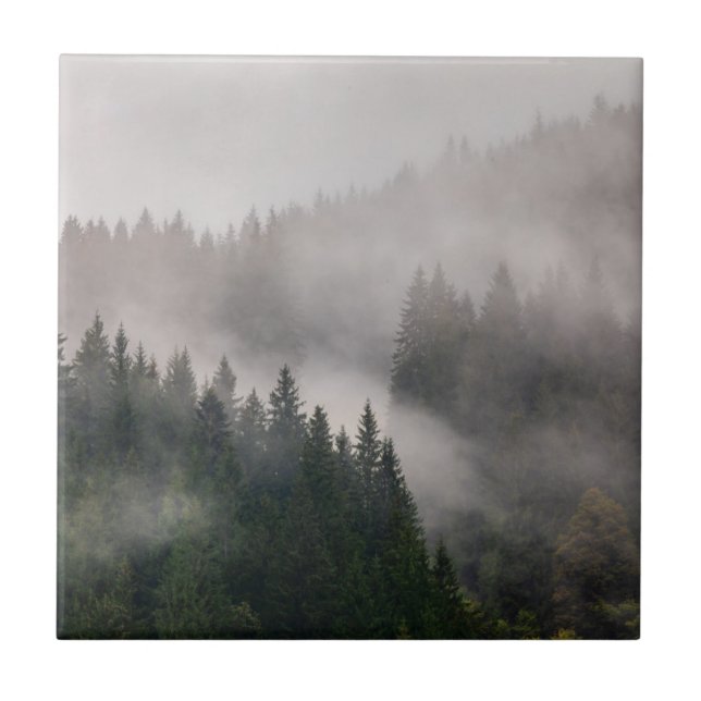 Azulejo De Cerâmica Floresta enevoada nas montanhas (Frente)