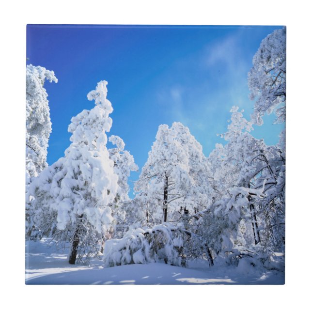 Azulejo De Cerâmica Floresta Nacional Cleveland (Frente)