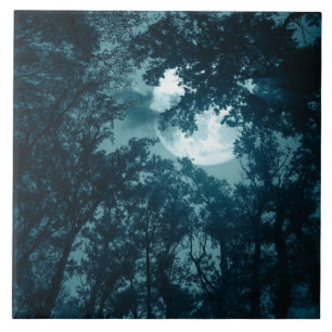 Azulejo De Cerâmica Floresta Noturna Encantadora com Lua Cheia