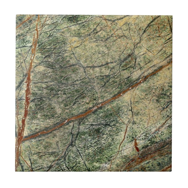 Azulejo De Cerâmica Floresta Selva (Frente)