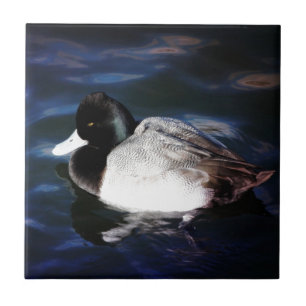 Azulejo De Cerâmica Flutuação com luz do sol