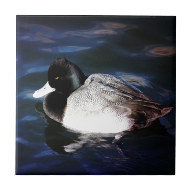 Azulejo De Cerâmica Flutuação com luz do sol (Frente)