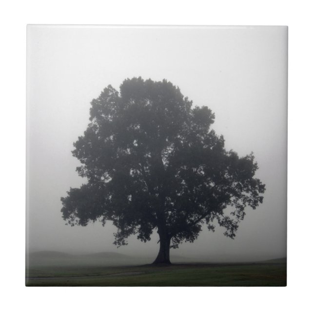 Azulejo De Cerâmica Foggy Tree (Frente)