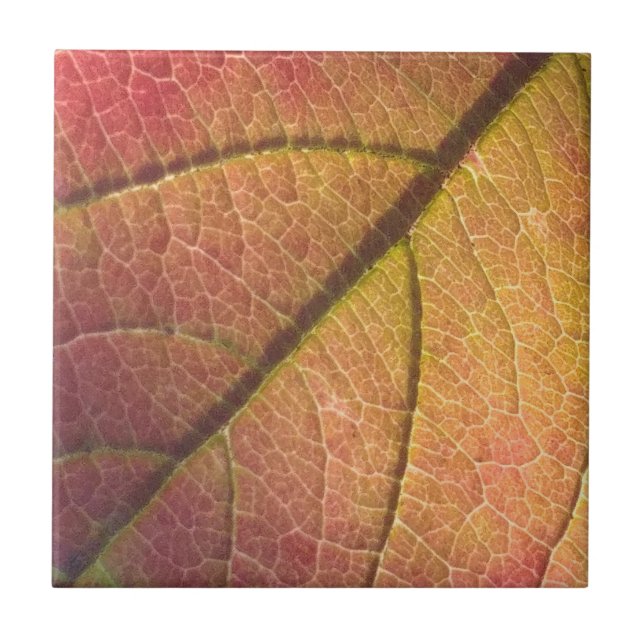 Azulejo De Cerâmica Folha Amarela E Vermelha (Frente)