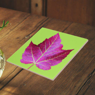 Azulejo De Cerâmica Folha de Bordo Vermelho de Outono em Floral Verde