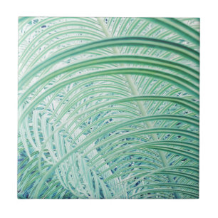Azulejo De Cerâmica Folha de palmeira macia da planta verde