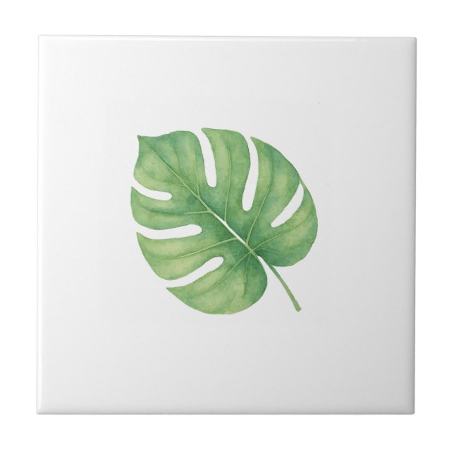 Azulejo De Cerâmica Folha Gren de Monstera (Frente)