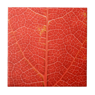 Azulejo De Cerâmica Folha outonal