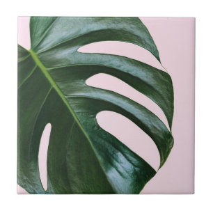 Azulejo De Cerâmica Folha tropical de Monstera
