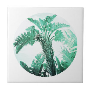 Azulejo De Cerâmica Folhas de Árvore de Banana Verde Clara
