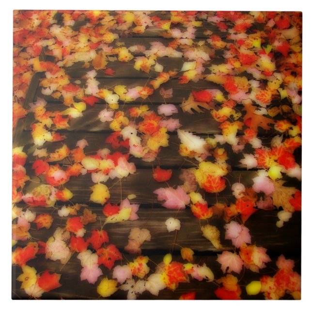 Azulejo De Cerâmica Folhas de Mapeamento de Outono Amarelo Brilhante (Frente)