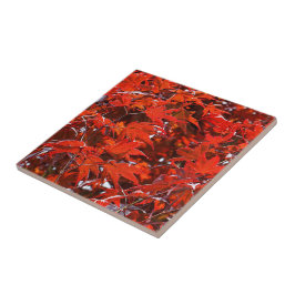 Azulejo De Cerâmica Folhas de Mapeamento Vermelho Japonês Elegante