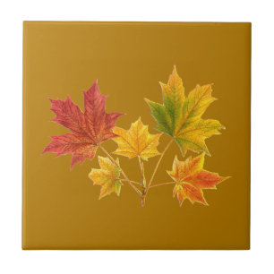 Azulejo De Cerâmica Folhas de Maple