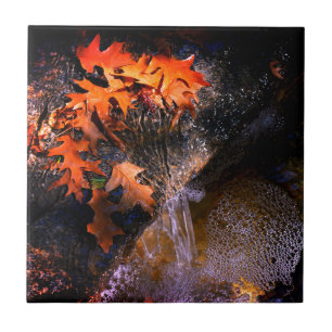 Azulejo De Cerâmica Folhas de Maple