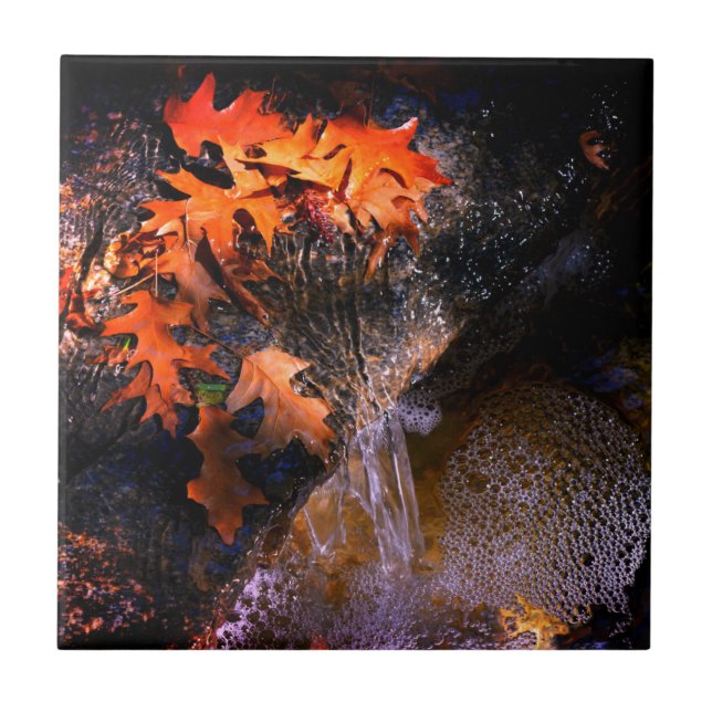 Azulejo De Cerâmica Folhas de Maple (Frente)